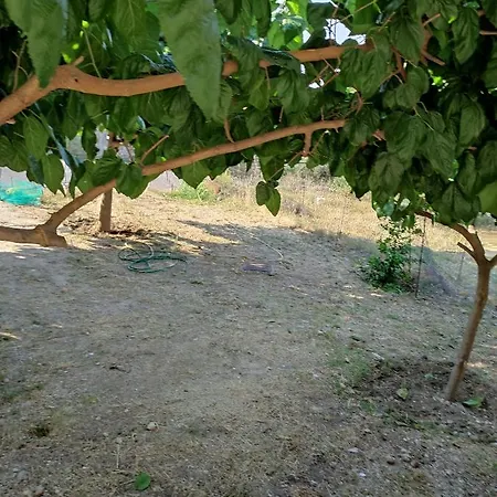 Paganatos Place Case de vacanță *